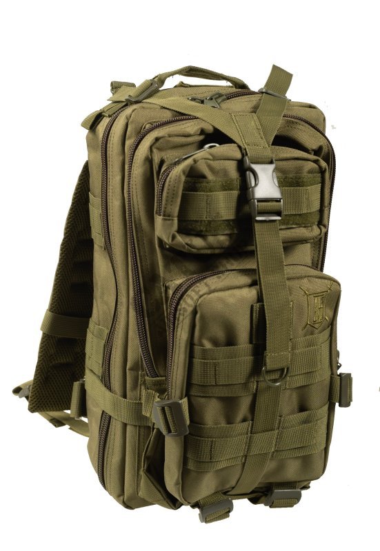 Tactical backpack ASSAULT ALE CAU 20L Delta Armory Oliva 