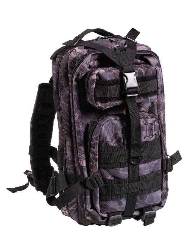 Tactical backpack ASSAULT ALE CAU 20L Delta Armory TYPHOON 